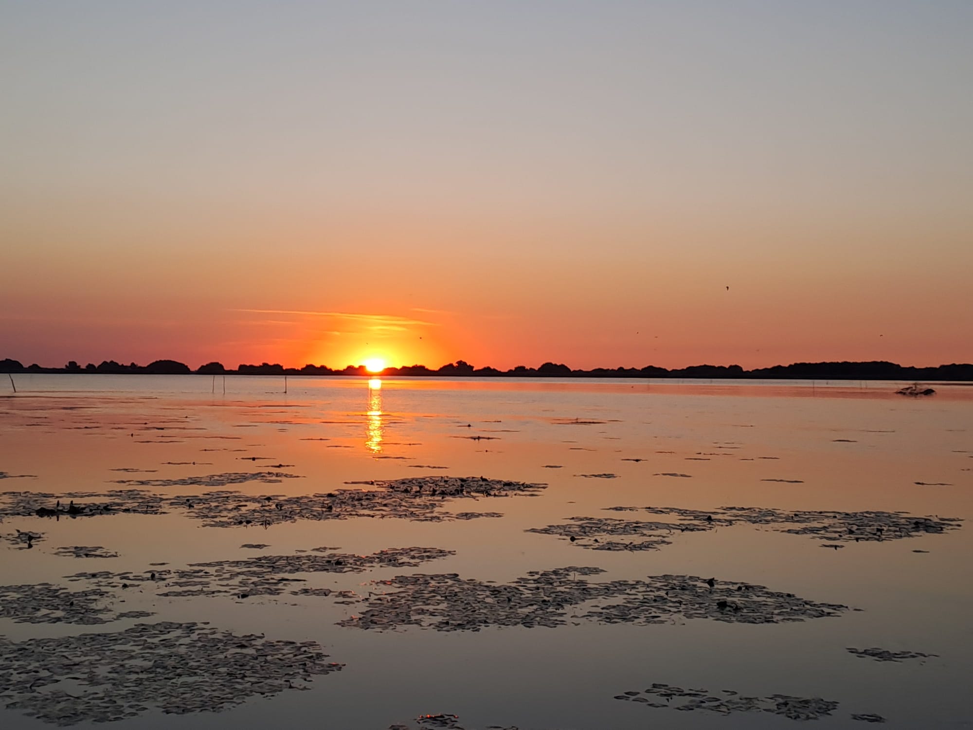Sun setting over the Danube Delta