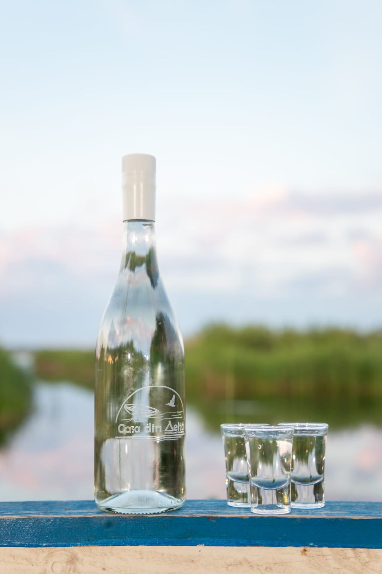 Casa din Delta signature spirit